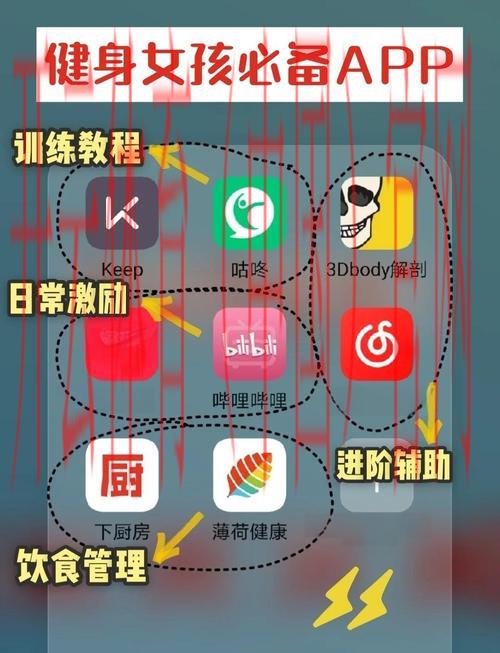 云体育app，全新智能化健身助手体验